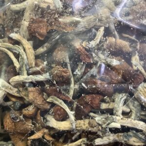Golden Teachers