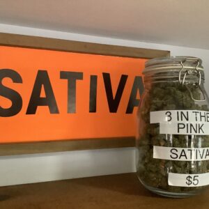 3 in the Pink