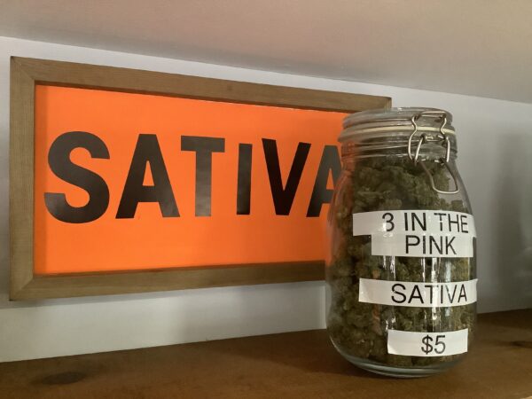 3 in the Pink